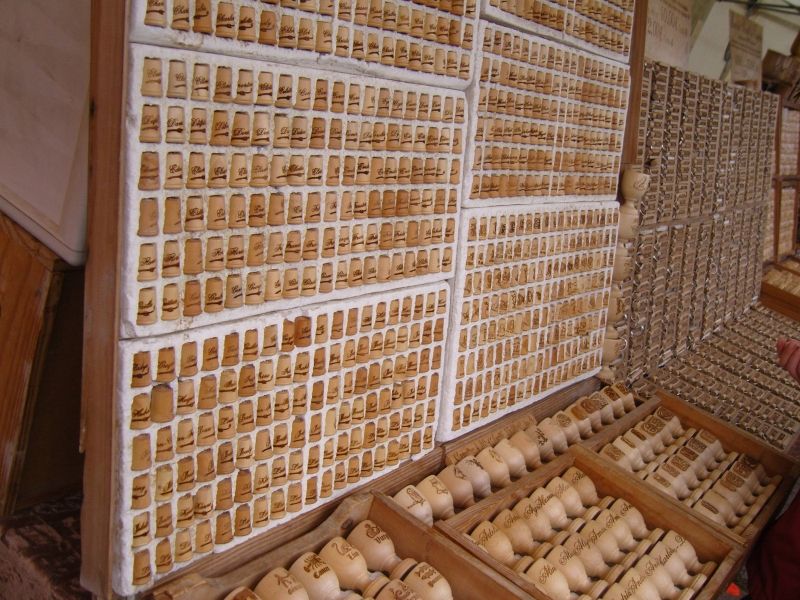 Avant les hostilités...