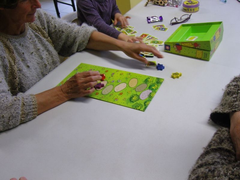 La course des tortues