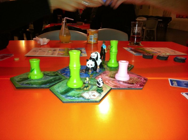 Le terrain se développe (échelle avec le panda et le jardinier de la boite de jeu)