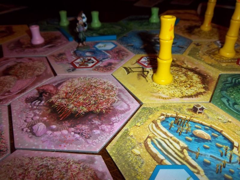 ça pousse tout doucement, mais ça pousse...