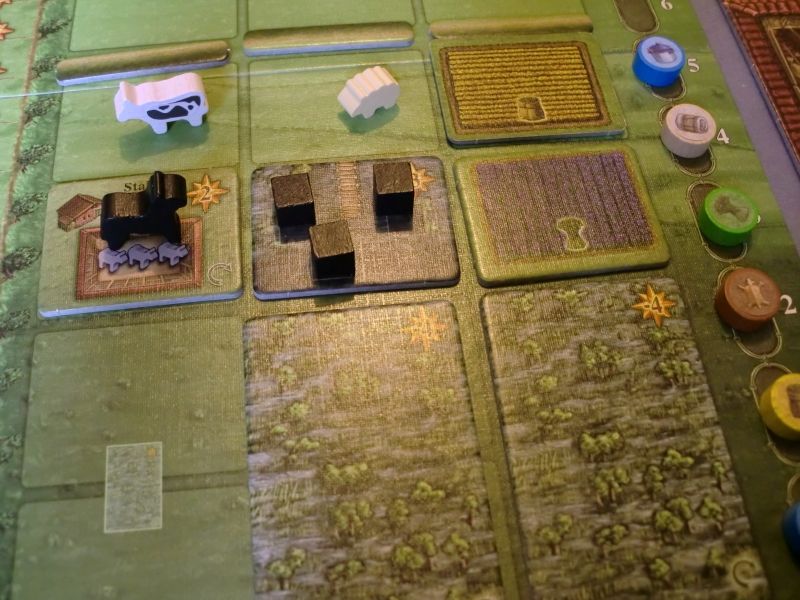 le plateau représentant le village et ses alentours, champs et pâturages 