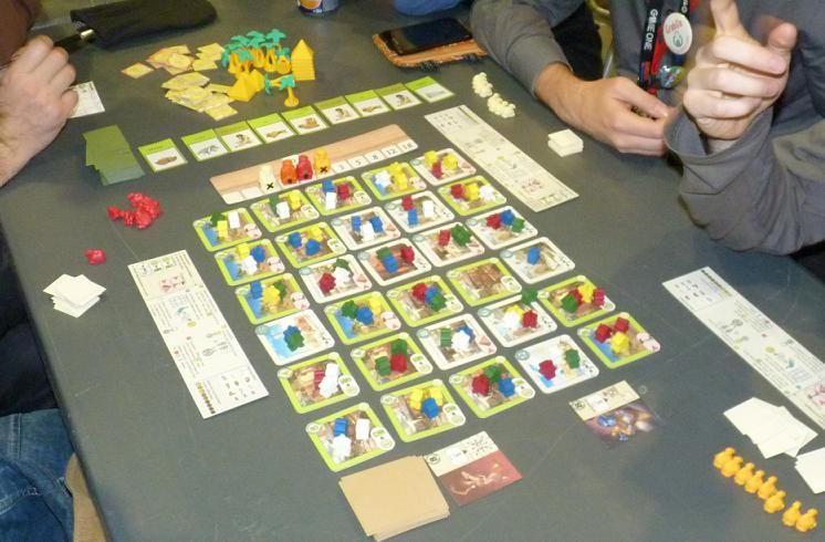 Beaucoup de meeple ... des blancs, des rouges, des jaunes, des verts et des bleus !