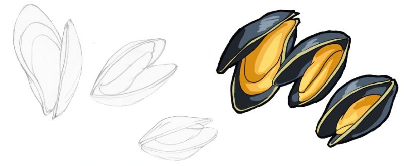 Les dessins s'affinent...