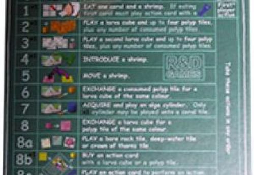 Reef encounter of the second kind