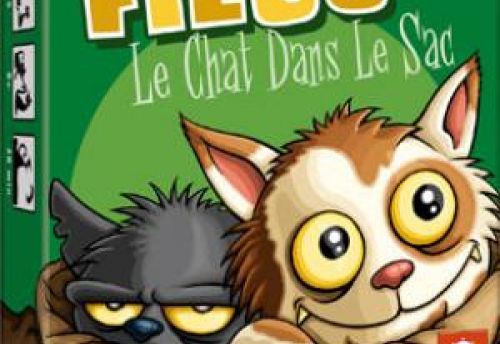 Filou : le chat dans le sac