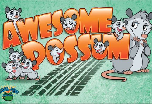 Awesome Possum
