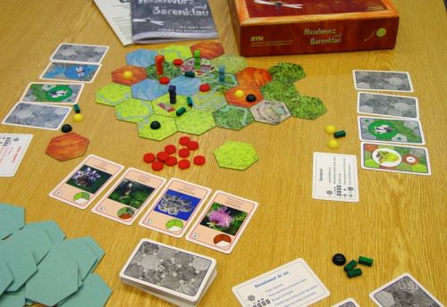 Haselwurz und Bärenklau