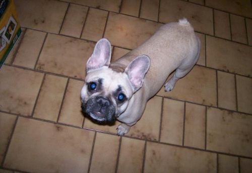 Un autre invité, dont le nom m'a obligé ? sortir ce jeu : Dixie !