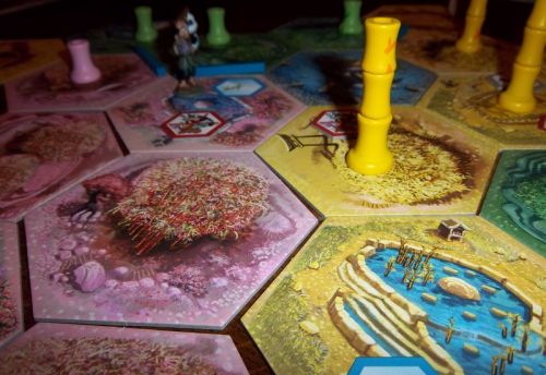 ça pousse tout doucement, mais ça pousse...