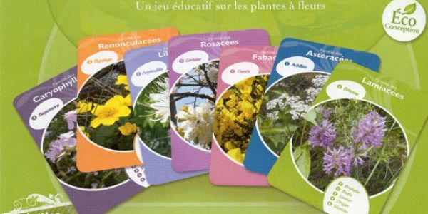 Cette année, pour la Saint Valentin, offrez-lui des fleurs !