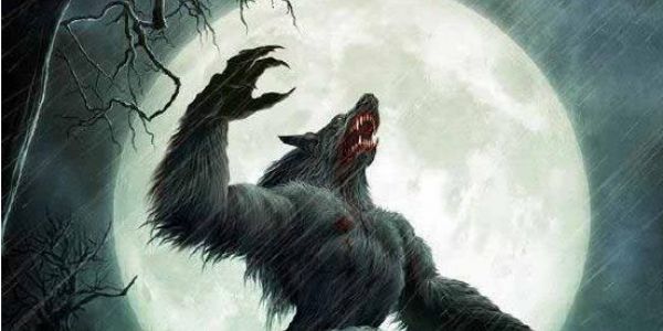 De nouveaux défis fantastiques vous attendent...