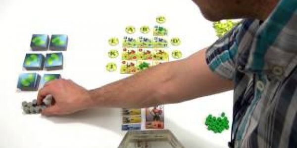 Focus On Board de Ginkgopolis