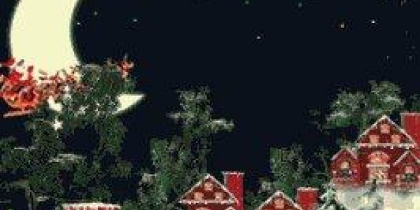 Ils vous souhaitent un joyeux Noël, une bonne année...