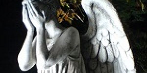 Mon bilan Ludique 2014