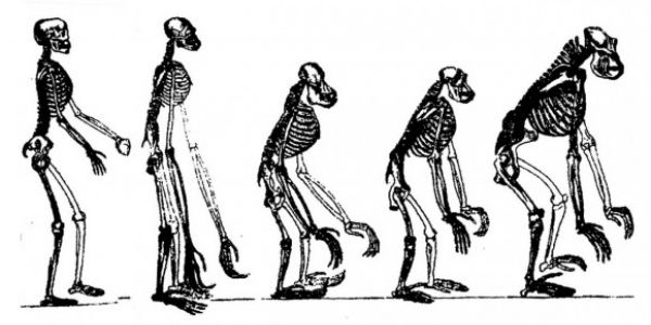 Evolution monumentale...