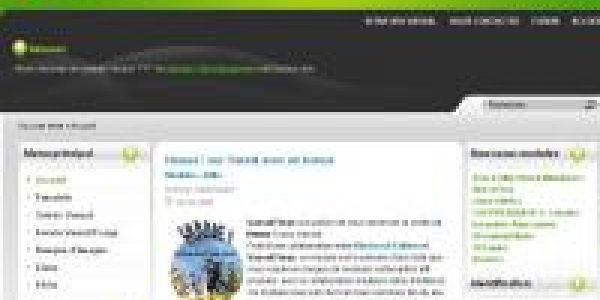 On se met en ligne avant la course...