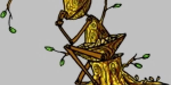 Sur la route du jeu‏