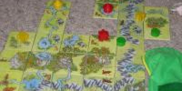 Extension non officielle pour Carcassonne Vert: Die Steinmauer