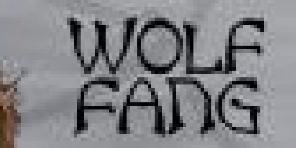 Du polonais pour Noël ?