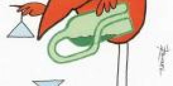 Nouvelle fonctionnalité