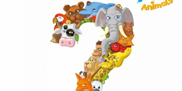 Concept Kids: Animals