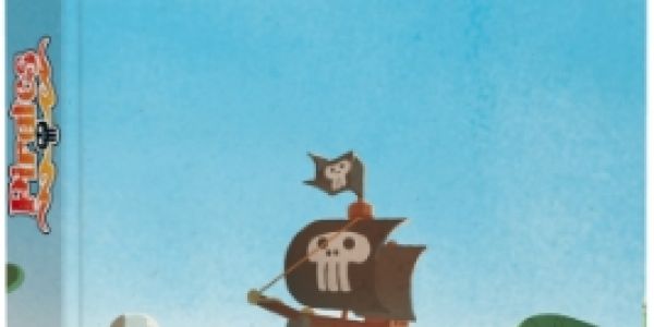 Pirates, journal d'un héros