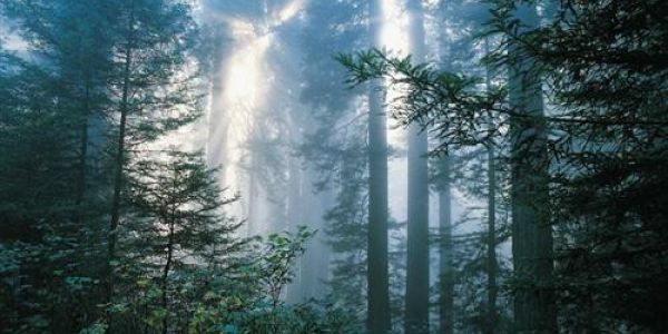 Sweet Agatha enfin en précommande